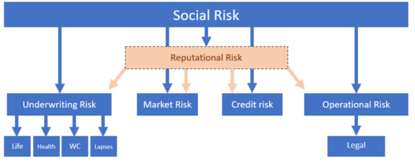 Risk Schema EIOPA