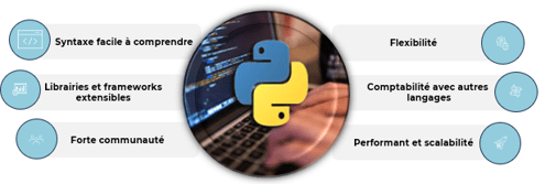 202406-DataInsights-IMG2 Data Insights - Approches de programmation en Python