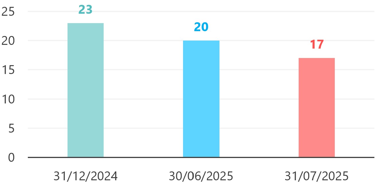 20250731-VolatilityAdjustment
